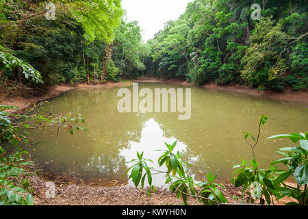 Royal Pond in Kandy Udawatta Kele Royal Forest Park or Udawattakele Sanctuary in the city of Kandy, Sri Lanka Stock Photo