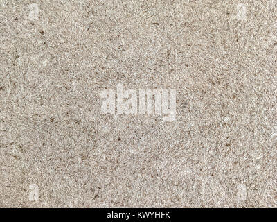 Texture of light brown plush wallpaper with a pattern. Textile gray surface, structure close-up. Stock Photo