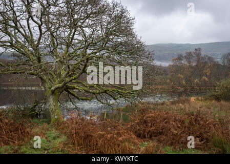 Peaceful autumn morning at Llyn Tecwyn Isaf in Snowdonia, North Wales. A beautiful small lake near Harlech. Stock Photo
