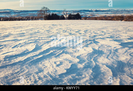 Winter landscape in morning light with wind patterns on snow. Shropshire Hills in United Kingdom Stock Photo