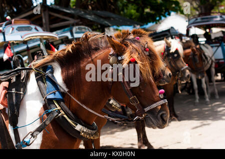 Indonesia, Lombok, Gili archipelago, Gili Air, the only mean of transport is the cidomo, horse drawn carriage Stock Photo