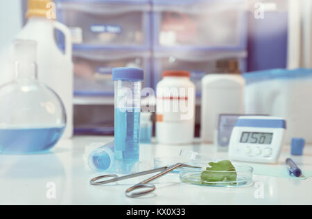 Toned science background in purple and white. Green leaf in a petri dish, with laboratory out of focus. Stock Photo