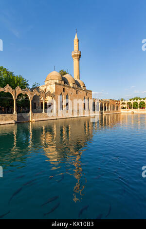 Sacred pond with carps in it known as Balikligol in Sanliurfa, Turkey. It is believed that Prophet Abraham was thrown into the fire in this spot. Stock Photo