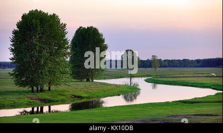 Panoramic view of the grassy meadows and wetlands - wildlife and birds reserve - and the Biebrza river in the Biebrzanski National Park in Poland Stock Photo