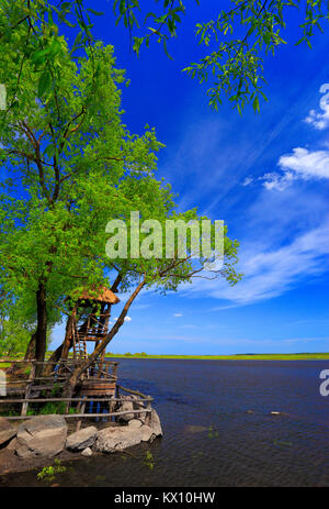 Panoramic view of the grassy meadows and wetlands - wildlife and birds reserve - and the Biebrza river in the Biebrzanski National Park in Poland Stock Photo