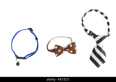 Blue pet's collar with blue bell, brown pet's butterfly with white polka dots, pet's tie in black and white stripes isolated on white background Stock Photo