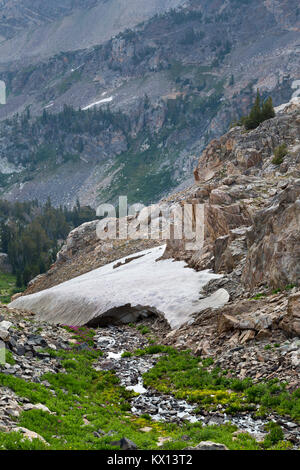 A small snow melt creek flowing below a snow bank high in the South Fork of Cascade Canyon of the Teton Mountains. Grand Teton National Park, Wyoming Stock Photo