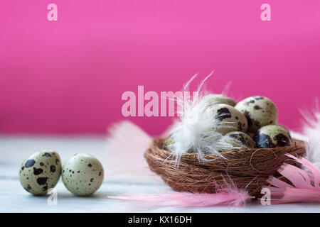 Quail eggs in nest with colorful feathers, on white wooden table against pink wall Stock Photo