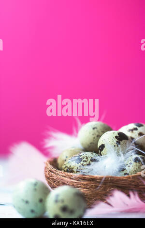 Quail eggs and feathers in small nest, on white wooden background against pink wall; copy space; easter background Stock Photo