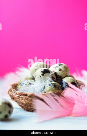 Quail eggs and feathers in small nest, on white wooden background against pink wall; copy space; easter background Stock Photo