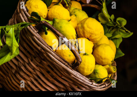 wooden wicker basket full of lemons with leaves Stock Photo