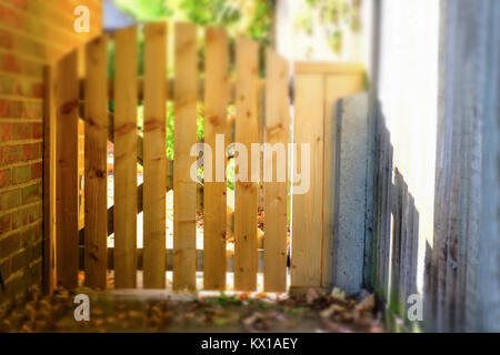 wooden picket type gate fence along a side wall of a house in a yard or garden. Sunshine is making the gate look golden in autumn sunshine. Tilt shift Stock Photo