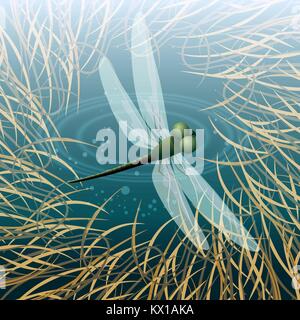 Dragonfly flying over pond. Vector illustration. Stock Vector