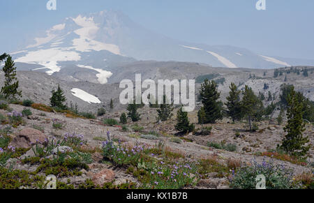 Mount Hood National Park under a smoky atmosphere, Oregon, United States Stock Photo