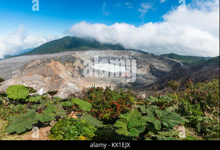 Caldera with crater lake, Poas Volcano, National Park Poas Volcano, Costa Rica Stock Photo