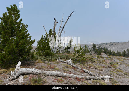 Mount Hood National Park under a smoky atmosphere, Oregon, United States Stock Photo