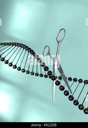 Scissors cutting DNA (deoxyribonucleic acid) helix, illustration Stock ...