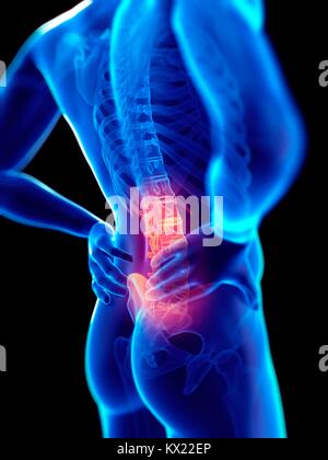 Human skeletal system, illustration. Stock Photo