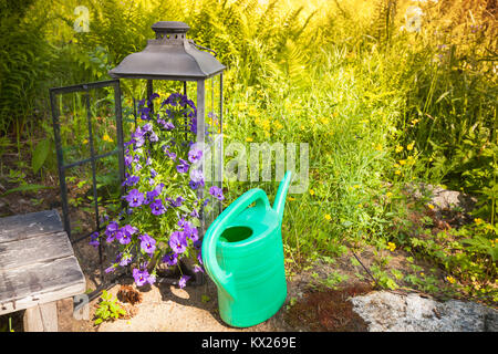 Green watering can stands near decorative flowers in summer garden Stock Photo