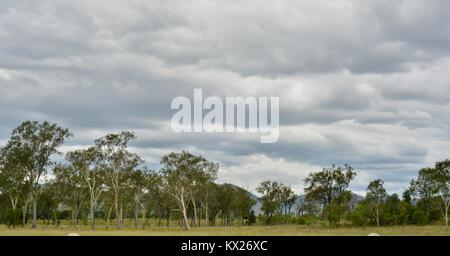 Rural scenes from country australian landscapes, Queensland, Australia Stock Photo