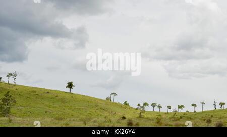 Rural scenes from country australian landscapes, Queensland, Australia Stock Photo