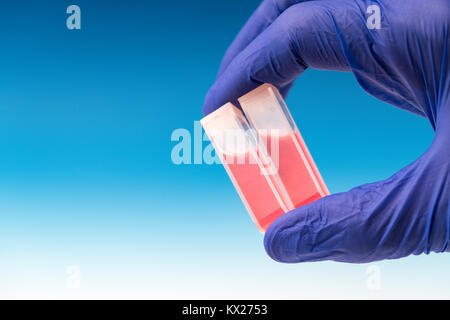 Quartz cuvettes for Chromatography and spectrophotometry in the study of liquids Stock Photo