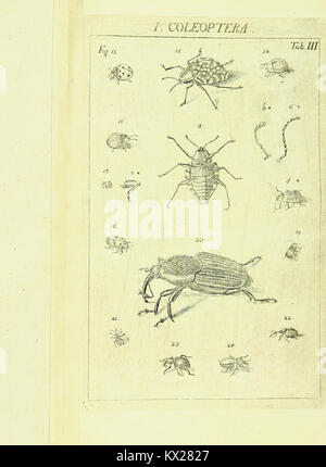 A detailed guide on the classification and study of insects, focusing ...