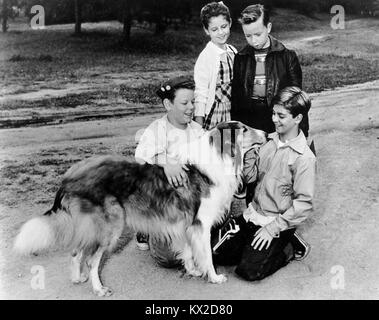 Donald Keeler, Gay Goodwin, Lee Erickson, and Tommy Rettig - Lassie and Friends Stock Photo