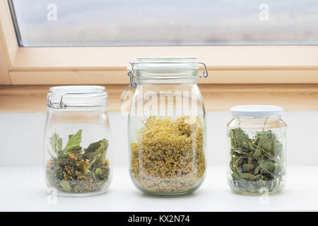 dried herbs in glass jars Stock Photo