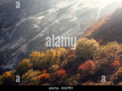Picturesque view on beautiful trees on the hillside, colorful grass against amazing snowy mountains in Nepal at sunset in autumn. Landscape with trees Stock Photo