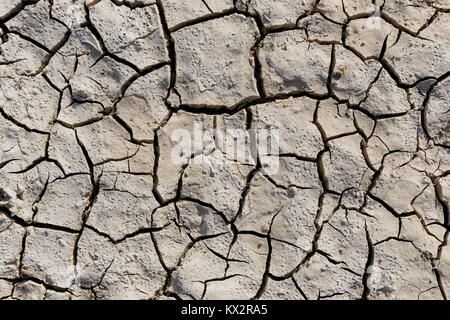 Texture of dry land close-up. Natural background Stock Photo