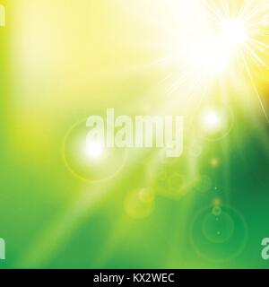 Spring summer sunlight flare abstract green color background. Vector illustration Stock Vector
