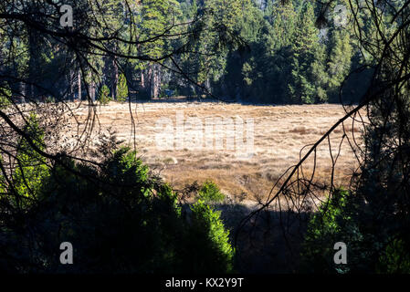 Nature landscape photographed on an Autumn morning. Palomar Mountain State Park, San Diego, California. Stock Photo