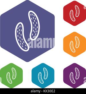 Epithelial cell icons set Stock Vector