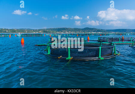 Seabass farm Fonda, Sečovlje Saline Nature Park, Slovenia, Europe Stock Photo