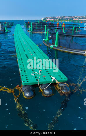 Seabass farm Fonda, Sečovlje Saline Nature Park, Slovenia, Europe Stock Photo