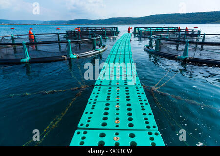 Seabass farm Fonda, Sečovlje Saline Nature Park, Slovenia, Europe Stock Photo