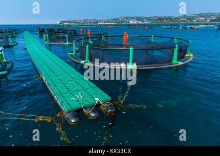 Seabass farm Fonda, Sečovlje Saline Nature Park, Slovenia, Europe Stock Photo