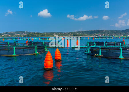 Seabass farm Fonda, Sečovlje Saline Nature Park, Slovenia, Europe Stock Photo