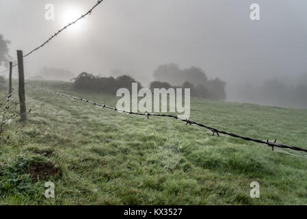 A fence made of barbed wire, a spider web covered in dew and the sun trying to pierce the fog that covers the countryside Stock Photo