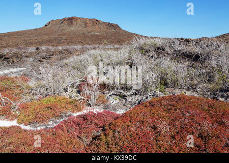 Chinese hat Island ( Sombrero Chino ), Galapagos Islands Ecuador South America Stock Photo