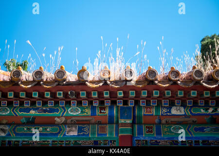 BEIJING,CHINA: October 12, 2012. Beijing travel. The Forbidden City Stock Photo