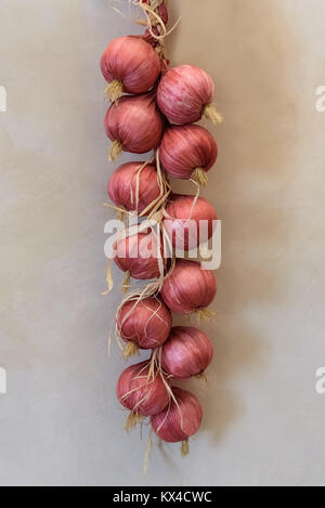 braided red onions hanging on the wall Stock Photo