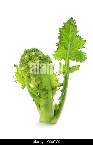 Fresh  rapini or broccoli rabe  isolated on white background Stock Photo