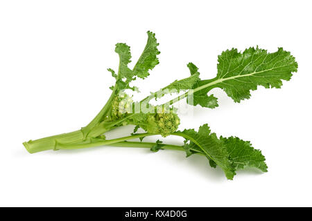 Fresh  rapini or broccoli rabe  isolated on white background Stock Photo