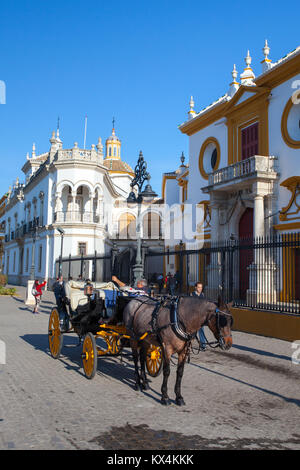 Seville, Spain - November 19,2016: Bullfight arena, plaza de toros at Sevilla.Seville Real Maestranza bullring plaza toros de Sevilla in andalusia Spa Stock Photo