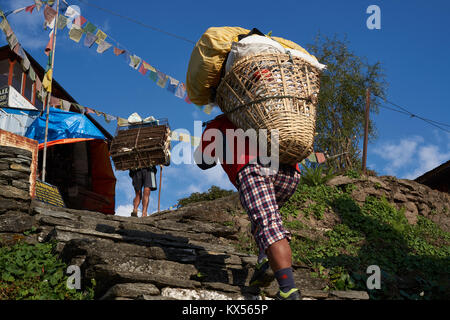 Nepali porters, Chomrong, Annapurna massif, Nepal Stock Photo