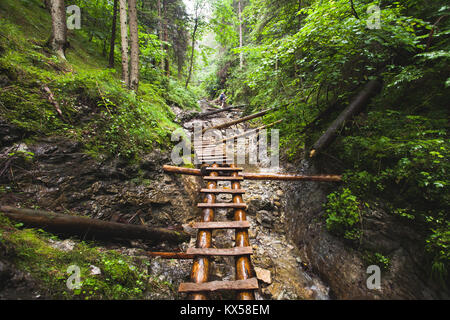 Abandoned old wooden bridge over the mountain river in deep wild lush jungle forest. Road to nowhere. Outdoor extreme activities. Wild nature. Travel  Stock Photo