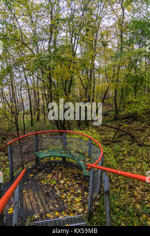 metal stair in autumn forest Stock Photo