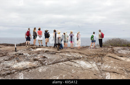 People walking on Genovesa Island as part of a guided tour, Galapagos Islands Ecuador South America Stock Photo